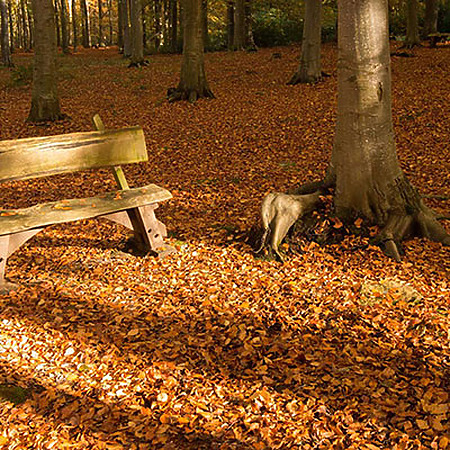 Woodlands Burial Costs